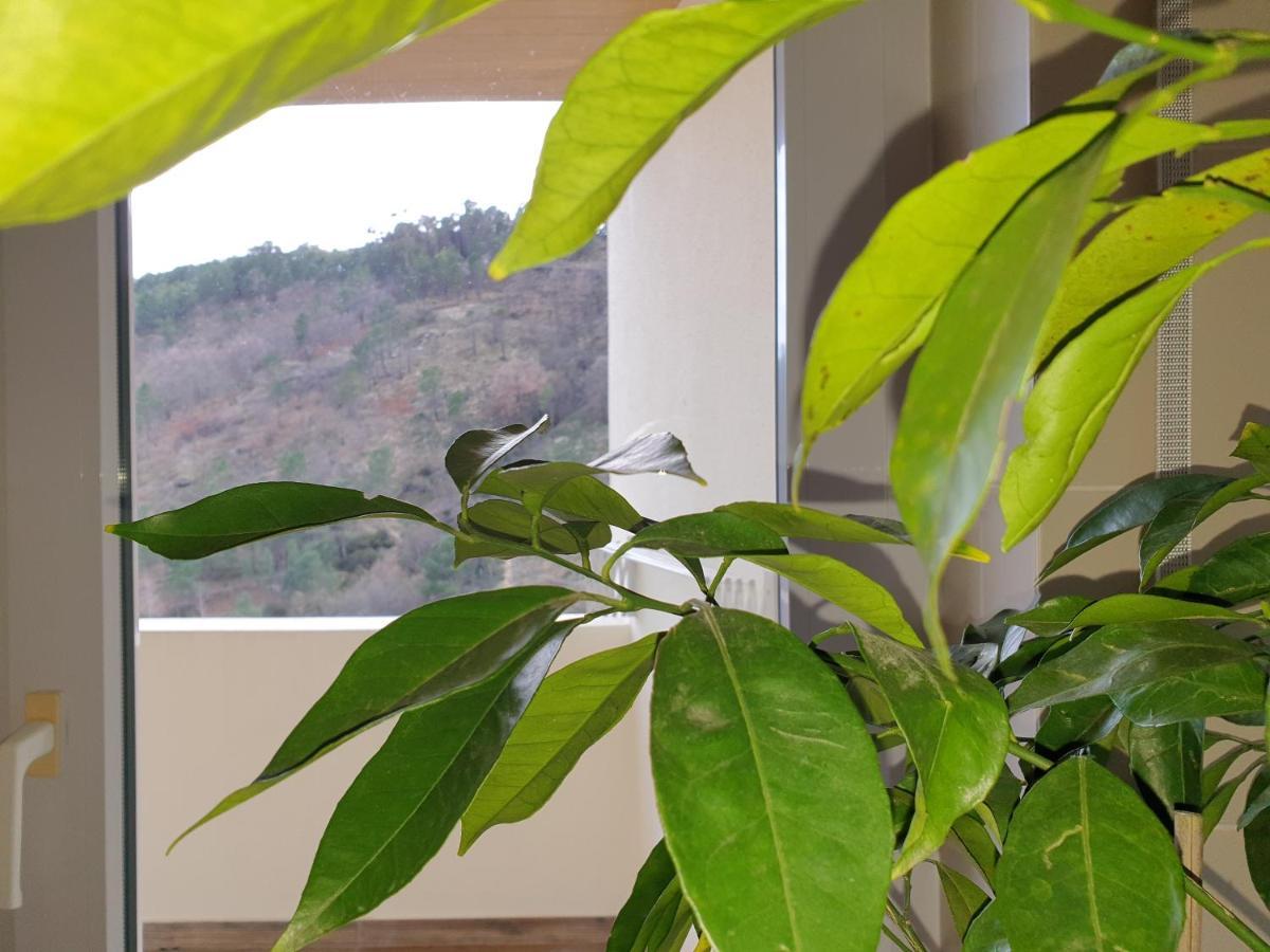 Altavista Penthouse T2 Apartment โกวิลา ภายนอก รูปภาพ